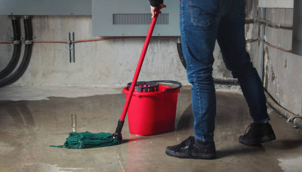 Best Flood Cleanup and Water Removal in Saylorville, IA