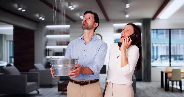 Best Emergency Water Extraction Services in Saylorville, IA